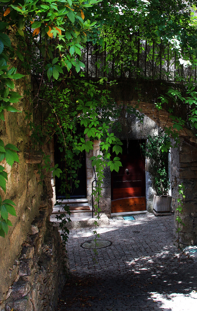 Ruelle ombragée à Valliguières .