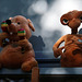E.T. chante " Maison " au son des maracas