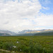 Gakona Lowland and Alaska Range in the distance