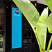 Piper Pinsa, Monte Gordo, all about Pinsa and music, read the menu !