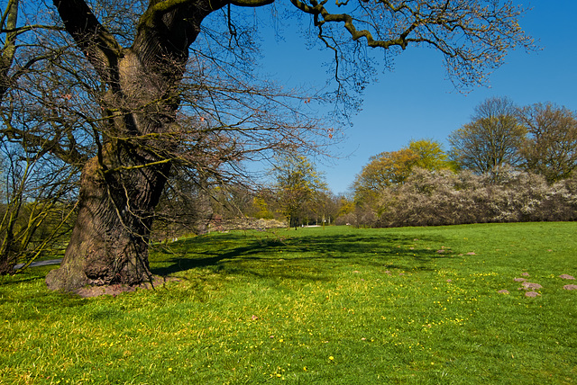 jenischpark-1200880-co-19-04-15