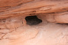 IMG 6921