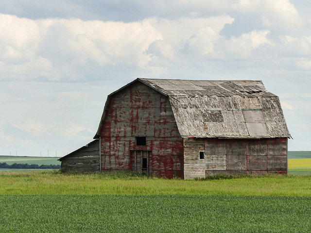 Weathered and patched