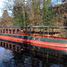 Llangollen Canal walk on a beautiful Sunday in December