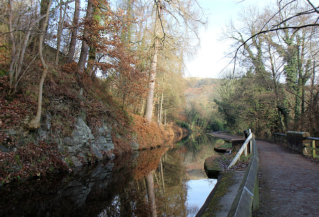 A winter's day in deep and (not) dark December