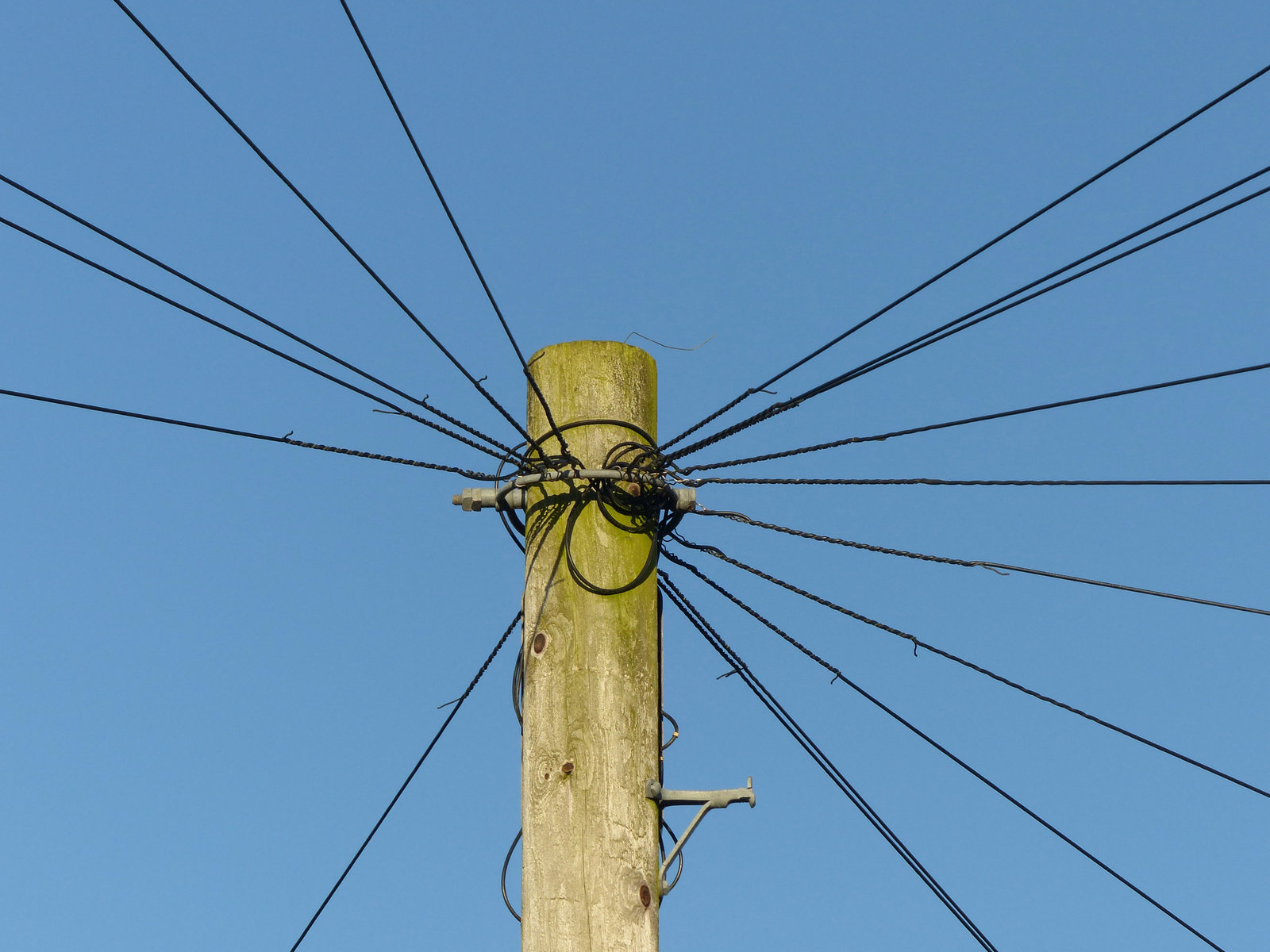 Wire - 25 December 2014