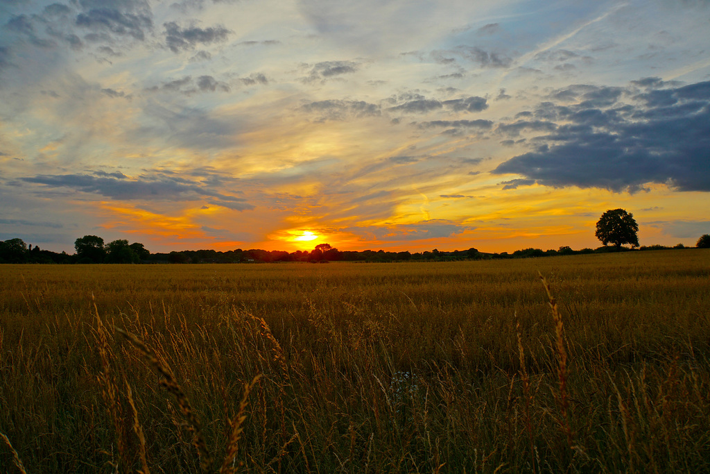 Gnosall sunset