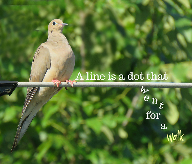 A line is ..
