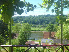 Sommermorgen im Elbtal - somermateno en Elbvalo