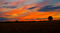 Gnosall sunset