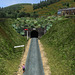 Rhondda Tunnel Future Plans