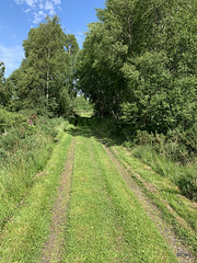 The Dava Way - Public trail along the track of a disused railway between Forres and Grantown on Spey.