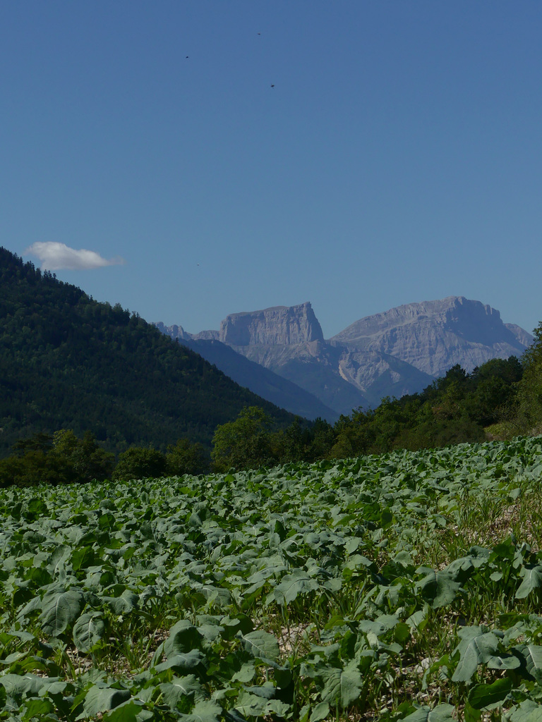 20200822 -0908 Diois Savoie Trieves Diois (1286)