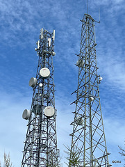 The Mobile phone Mast on Burgie Hill