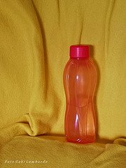 bottle on yellow background