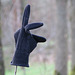 Handschuh im Wald