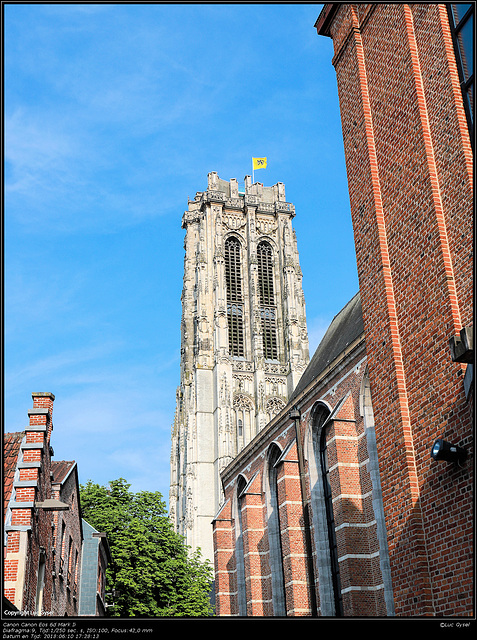 IMG 1662.jpg PSPX9 2018 06 11 Mechelen