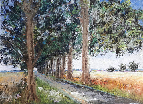 Ombre et lumière à Omerville