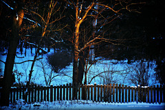 Golden Hour on the Fence