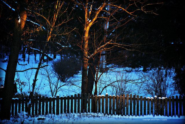 Golden Hour on the Fence