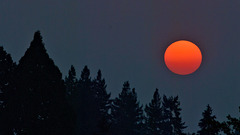 Red Moonset (2017)