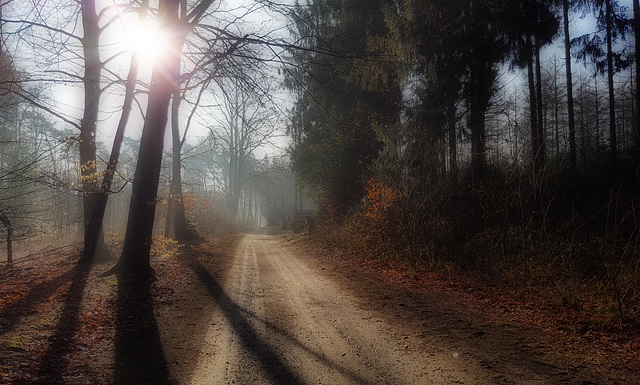 Heute Morgen in aller Frühe