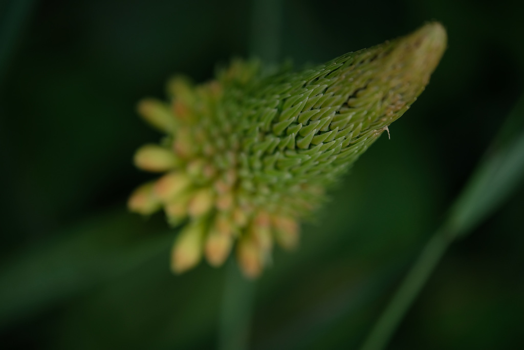 DSCF0683