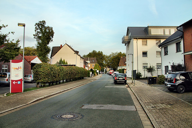 Am Feldbusch (Gelsenkirchen-Bismarck) / 30.09.2023