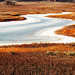 Flowing Ice - Cathy Fromme Prairie Natural Area, City of Fort Collins Natural Areas