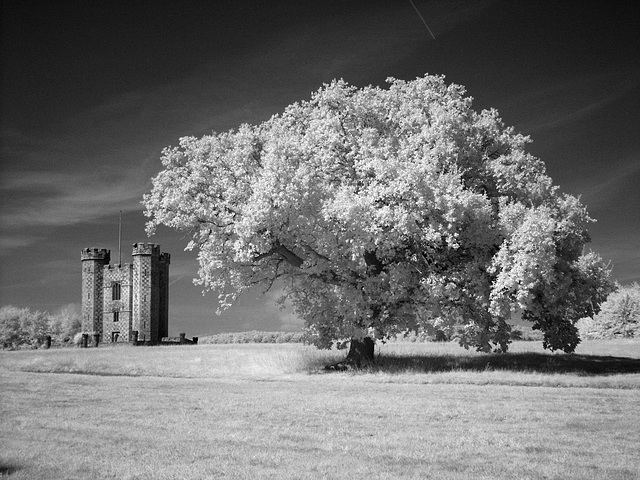 Hiorne Tower