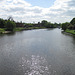 The Thames Path - Hampton Court to Teddington