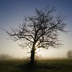 IMG 7509