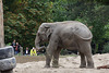 Khin Yadanar Min (Zoo Heidelberg)