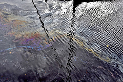 Oil on water and reflections
