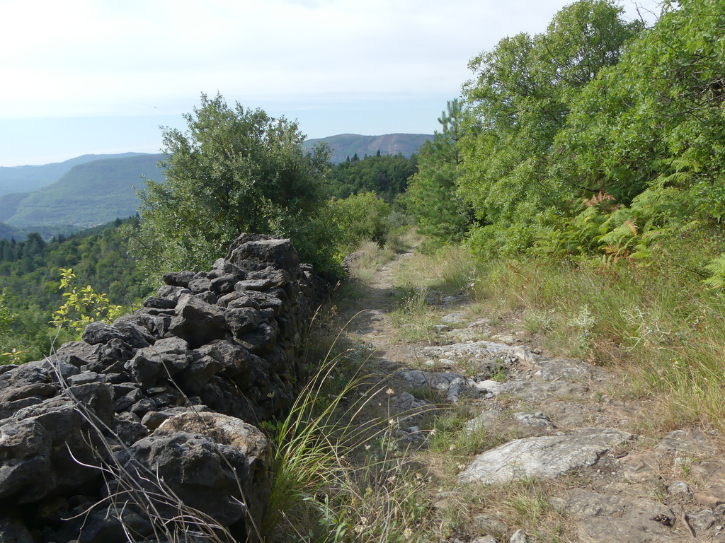 20180818 Rando solo Col de l'Hombre (Cevennes) (16) al