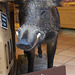 Stuffed boar at San Gimignano