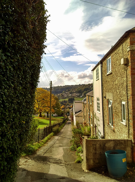 Daisy Bank, Stroud