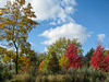 A Perfect Fall Day