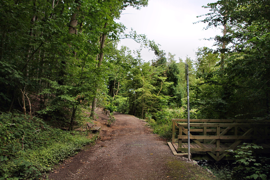 Weg am Kirchender Bach (Herdecke-Ende) / 1.08.2022