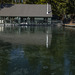 Iced-up Boat House