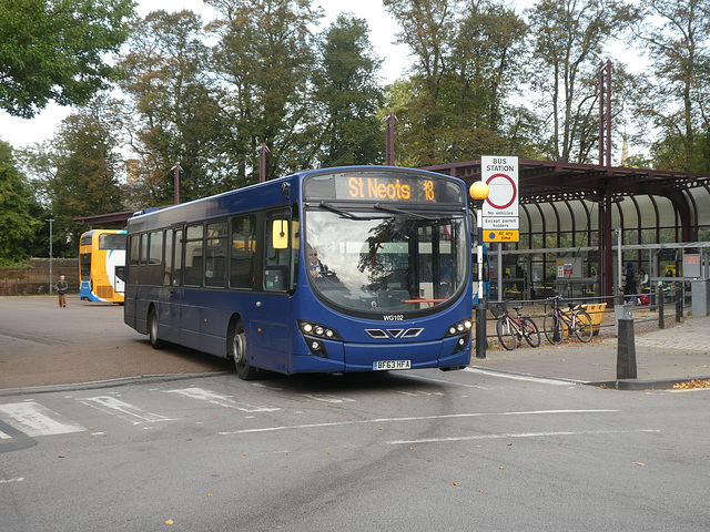 Whippet Coaches WG102 (BF63 HFA) in Cambridge - 18 Oct 2023 (P1160783)