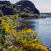 Dumbarton Rock Dumbarton Rock