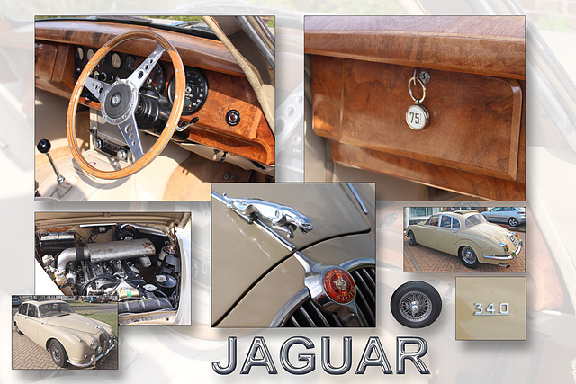 Jaguar 1968 3.4 litre - 15.5.2016