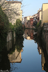 I riflessi di Mantova