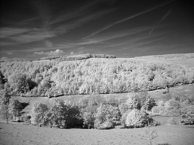 Arundel Park