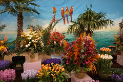 flowershow theme sea and beach tropical