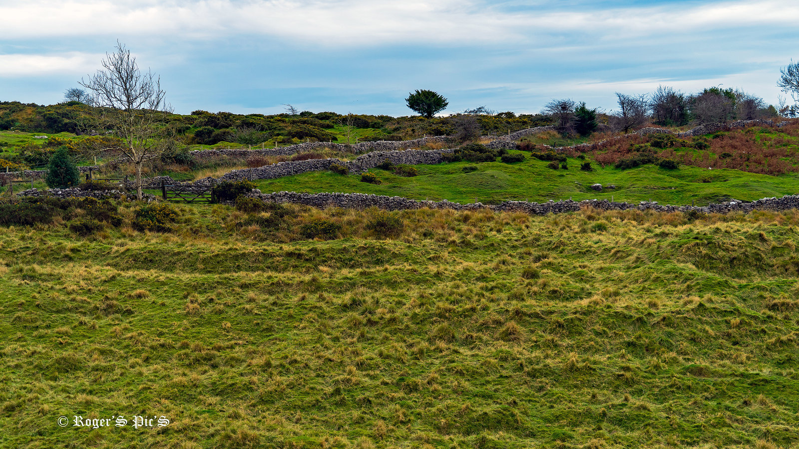 Mendip Autumn