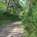 Fort Mahon chemin de la plage par les dunes