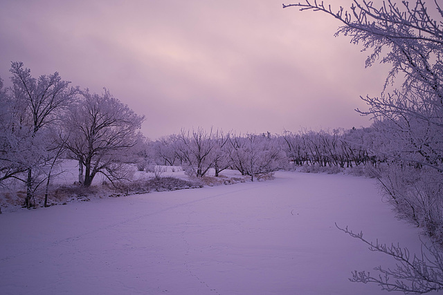 pink-ish sky by the creek