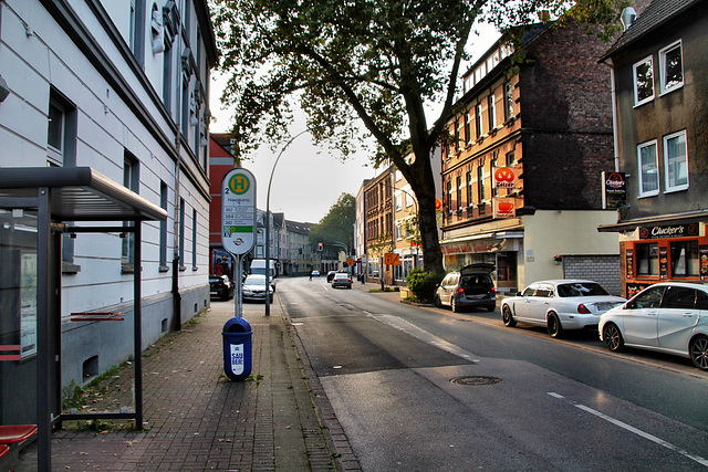 Bickernstraße (Gelsenkirchen-Bismarck) / 30.09.2023